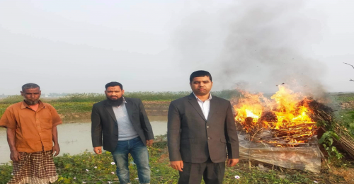 নওগাঁর আত্রাইয়ে মাগুরা বিলে পানি শুকিয়ে মাছ ধরার অভিযোগ